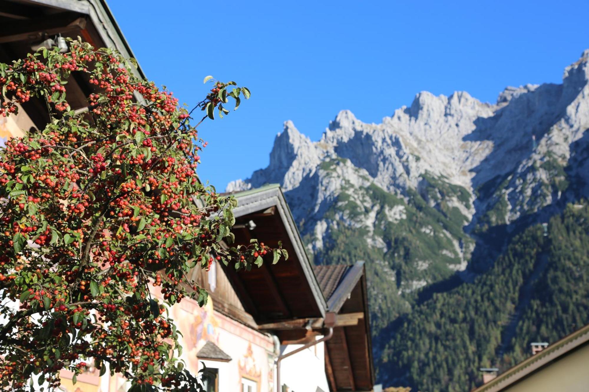 Gaestehaus Laerchenhang Mittenwald Dış mekan fotoğraf